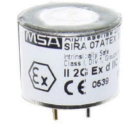 Replacement Sensor, CO, H2S