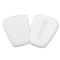 Particulate Filter with N95 Rating (1 Pair)