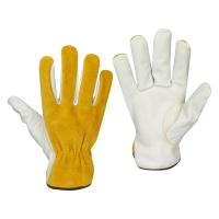 Leather Taped Cuff Drivers Glove (Medium)