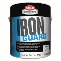 Iron Guard Int/Ext Paint Black (1 Gal)