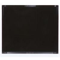 Passive Welding 1127 Filter Lens Shade 11