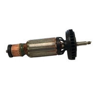 Armature Compl.,120V (W8-115/W8-125)