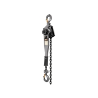 Lever Hoist with 10' Lift (1-1/2 Ton Capacity)