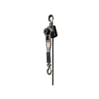 Lever Hoist with 20' Lift (3/4 Ton Capacity)