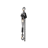Lever Hoist with 15' Lift (1-1/2 Ton Capacity)