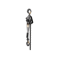 Lever Hoist with 20' Lift (3 Ton Capacity)
