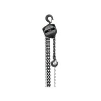 Hand Chain Hoist with 10' Lift (2 Ton Capacity)