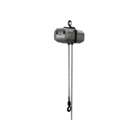 Electric Chain Hoist 1-Phase 20' Lift (1/2 Ton Capacity)