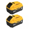 20V MAX Battery 6Ah (2 Pack)