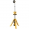 DeWalt DCL079R1 Image
