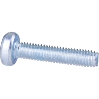 Replacement Screw